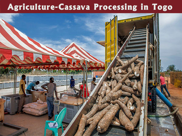 ​The 2026 Cassava Processing Plant Investor’s Guide to Costs and Business Planning