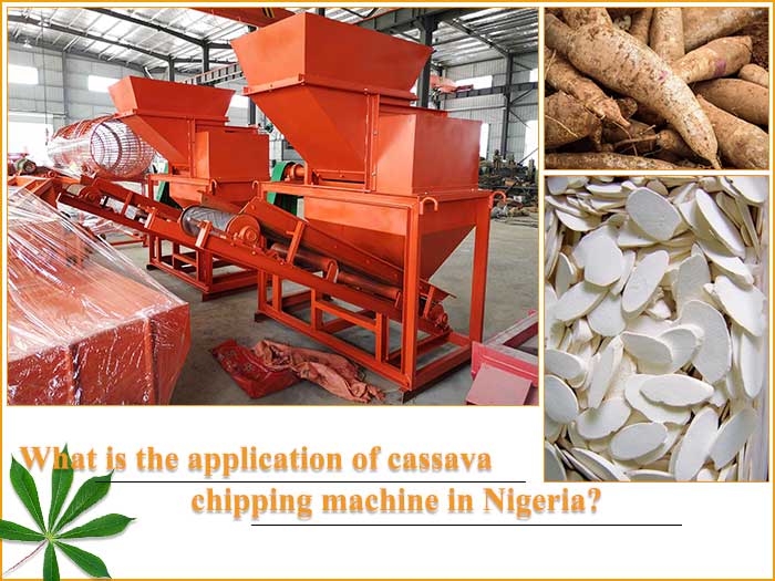 cassava chips processing