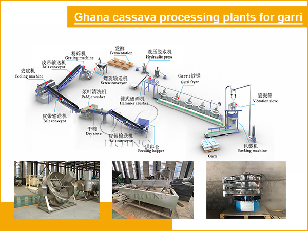How Much Space for a Fully Automated Garri Processing Line? Complete Factory Layout & Setup Guide