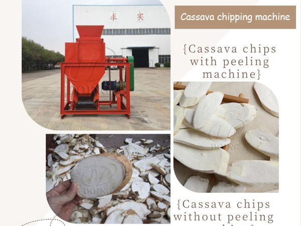 What Are the Uses of Cassava Chips Produced by Henan Jinrui Cassava Slicing Machine?