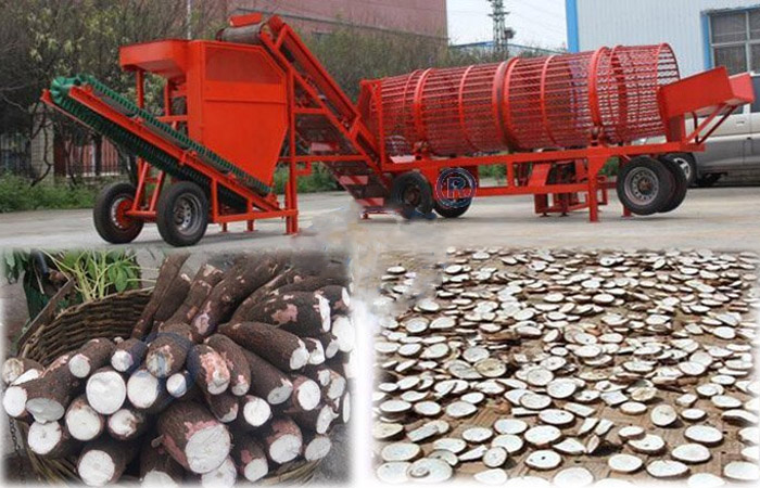 cassava chips production