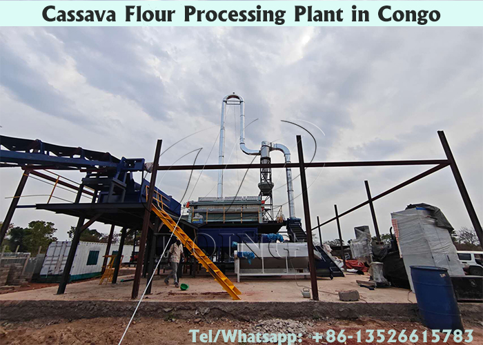 cassava flour processing plant