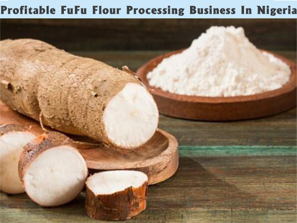 Fufu Flour Price in Nigeria – How to Start a Profitable Fufu Processing Business