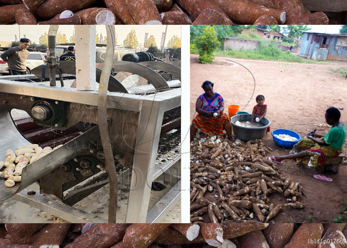 cassava peeling equipment upgrade