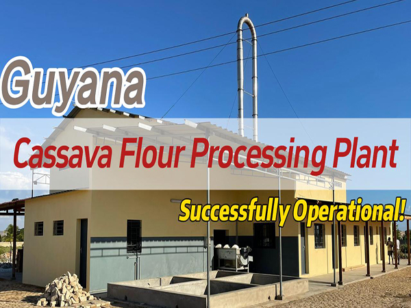 Guyana 5TPD Cassava Flour Processing Plant — Commissioning and Trial Run