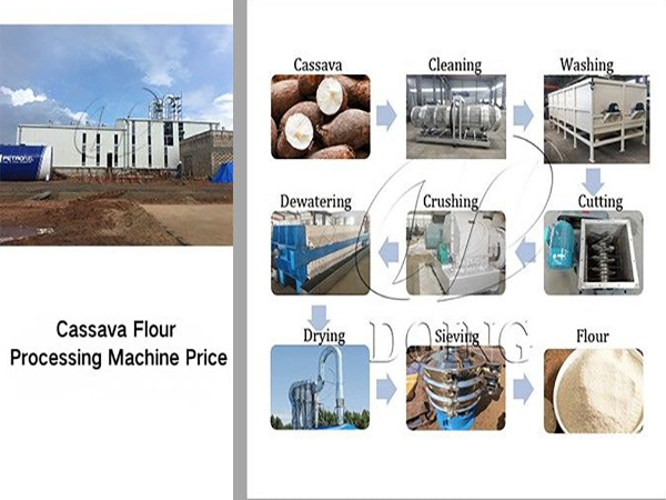 Cassava Flour Processing Machine Price: How Much Does a Production Line Cost?