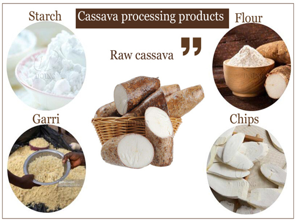 From Farm to Factory: 4 High-Value Cassava Processing Directions for Nigerian Farmers & Exporters