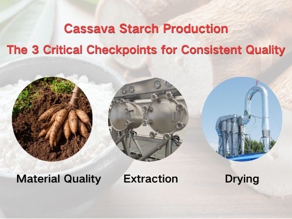 Cassava Starch Production: The 3 Critical Checkpoints for Consistent Quality