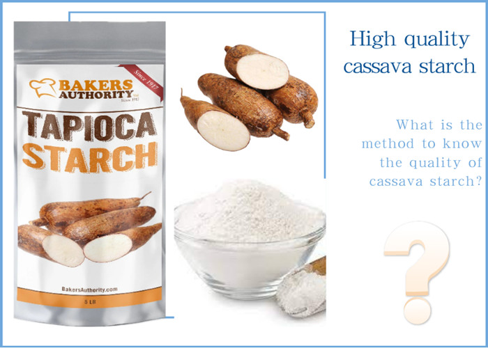 cassava starch processing