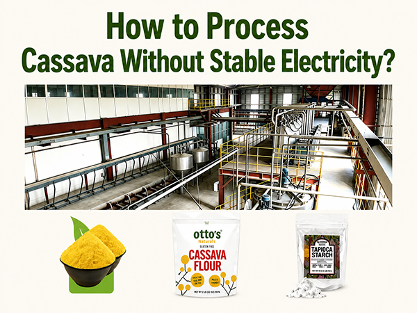 How to Process Cassava Without Stable Electricity: A Practical Guide