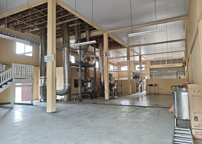 cassava flour processing projects