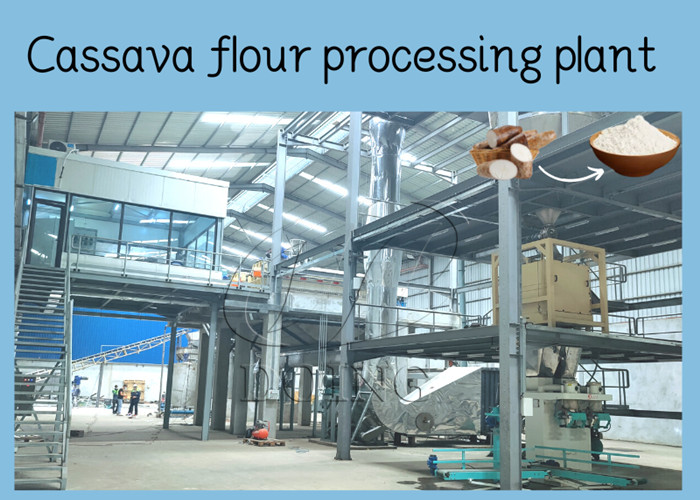 fufu flour processing plant