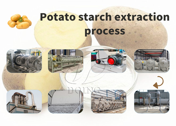 potato starch processing factory