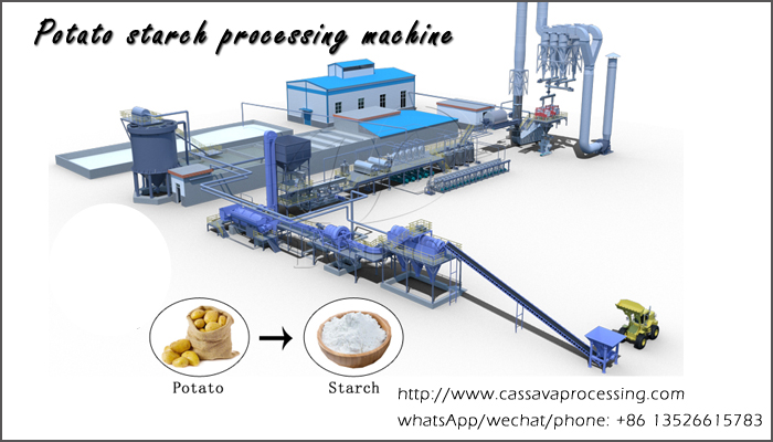 potato starch processing plant