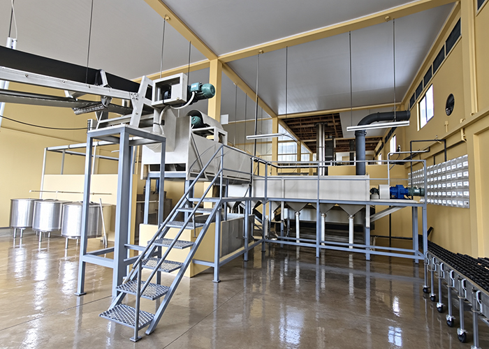 cassava flour processing plant