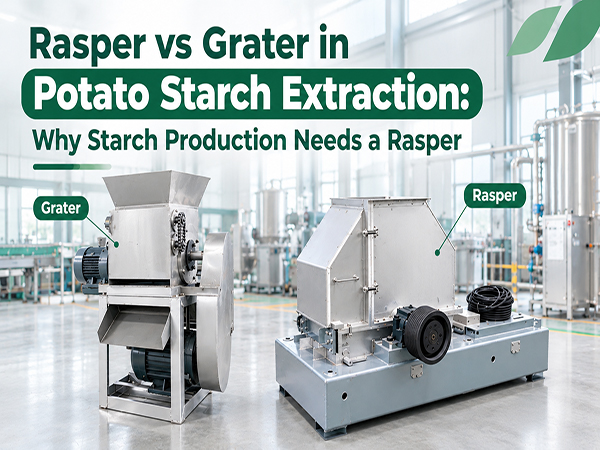 Rasper vs Grater in Potato Starch Extraction: Why Starch Production Needs a Rasper