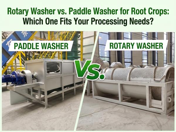 Rotary Washer vs. Paddle Washer for Root Crops: Which One Fits Your Processing Needs?