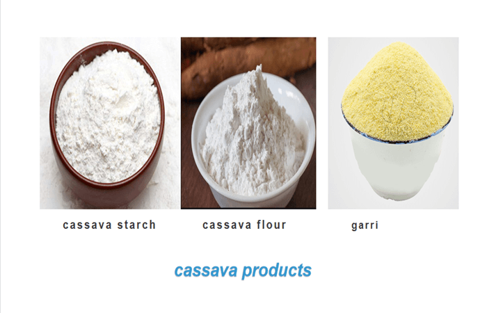 cassava products