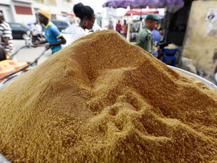 Garri process business