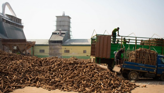 cassava starch processing machine