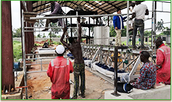 Dự án tinh bột sắn