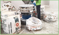 Dự án tinh bột sắn